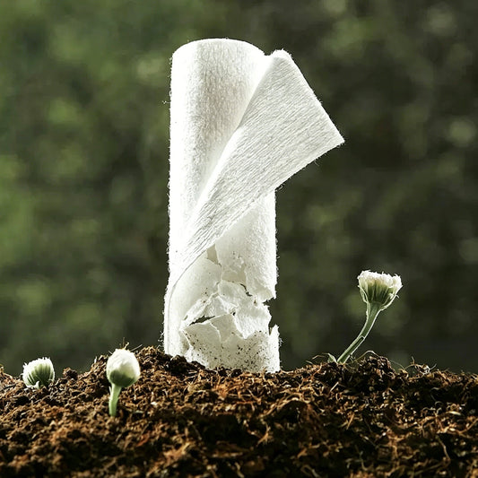 Do Flushable Wipes Really Break Down?