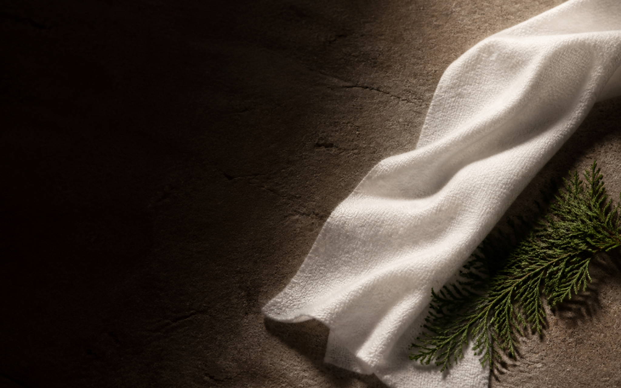 Silky white wipe and cedar branch on warm stone
